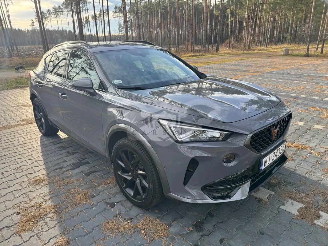 Cupra Formentor 2.0 TSI 4Drive DSG 2021