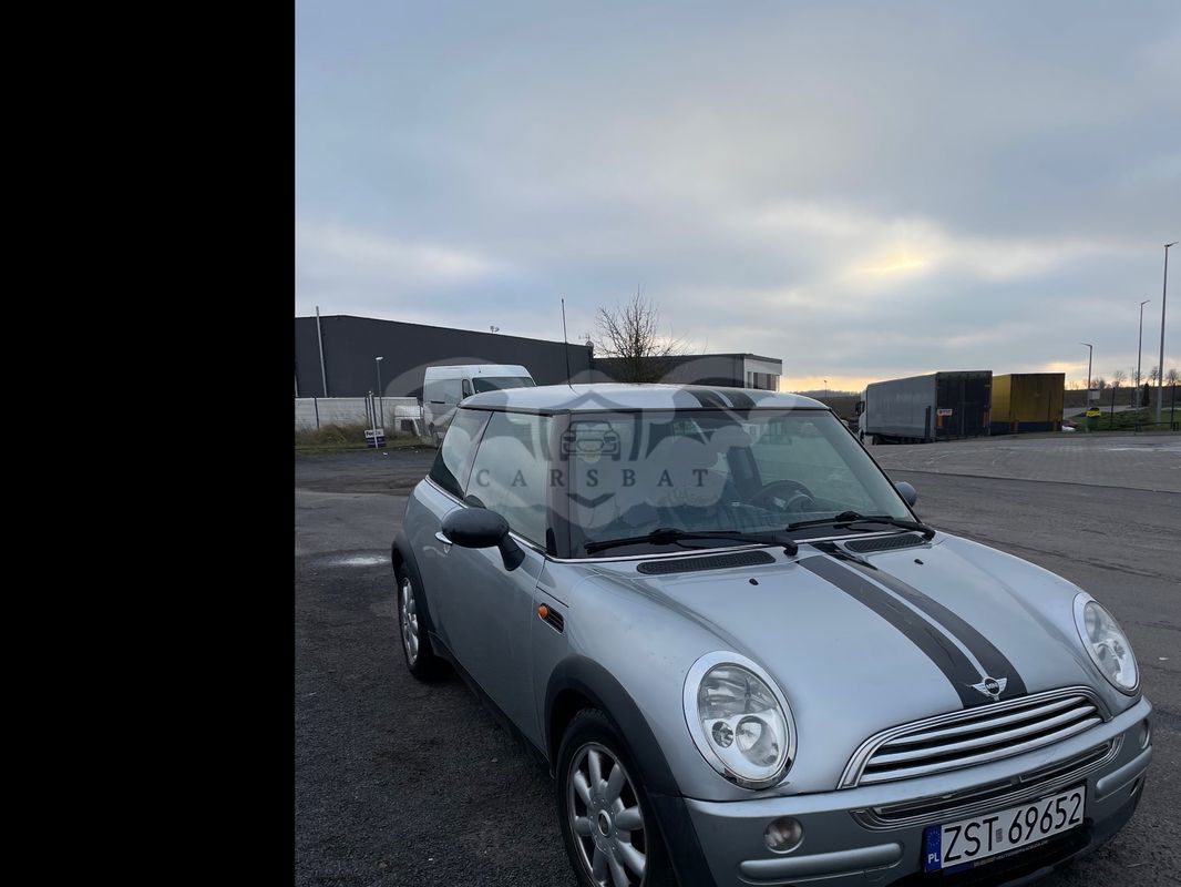 Mini One D salt 2003