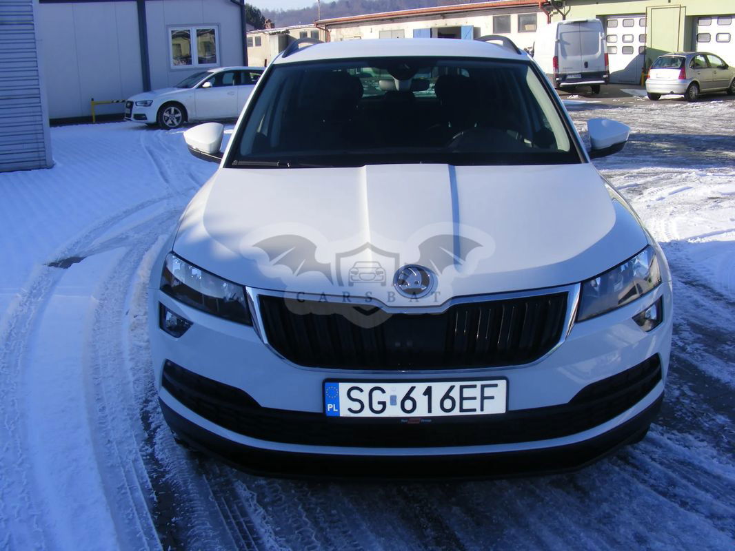Skoda Karoq 2.0 TDI SCR 4x2 Ambition DSG 2021