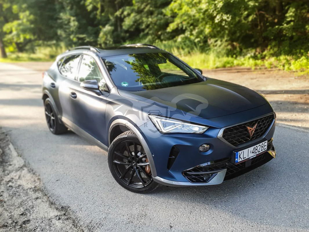 Cupra Formentor VZ 2.0 TSI 4Drive DSG 2020