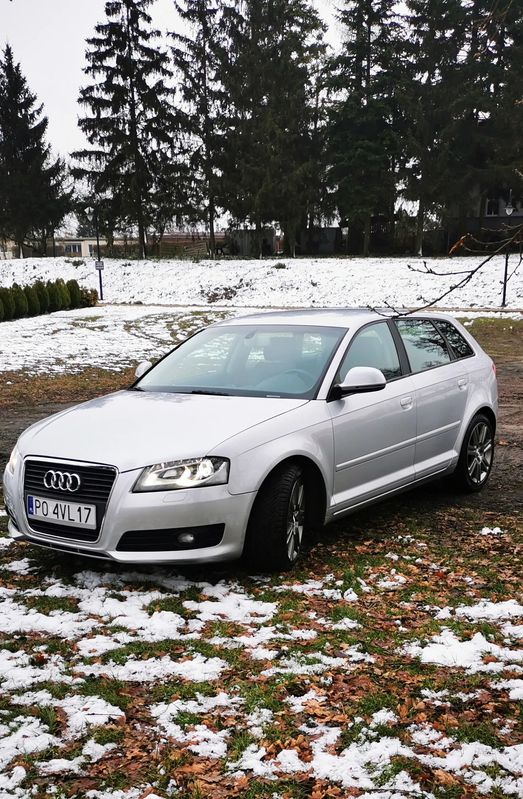 Audi A3 8P 2.0 TDI Sportback DPF S line Sportpaket 2010
