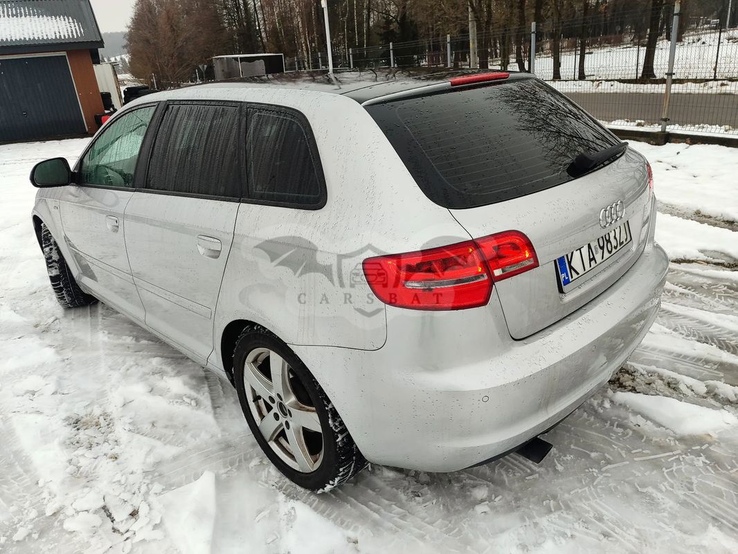 Audi A3 8P 1.6 Sportback S line Sportpaket (plus) 2009