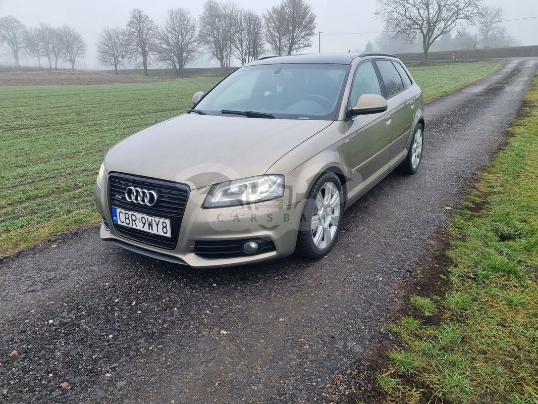 Audi A3 8P 2.0 TDI Sportback DPF quattro S line Sportpaket 2009