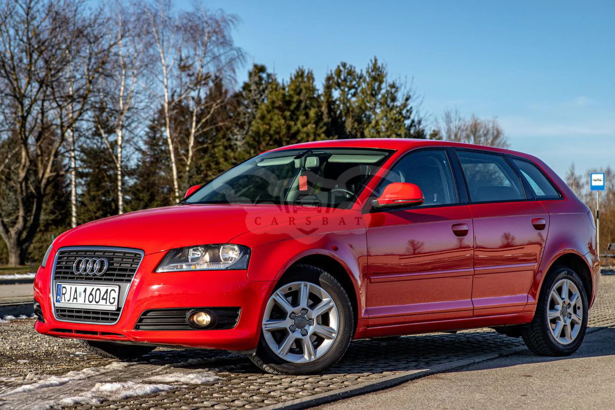Audi A3 8P 2.0 TDI DPF Attraction 2009