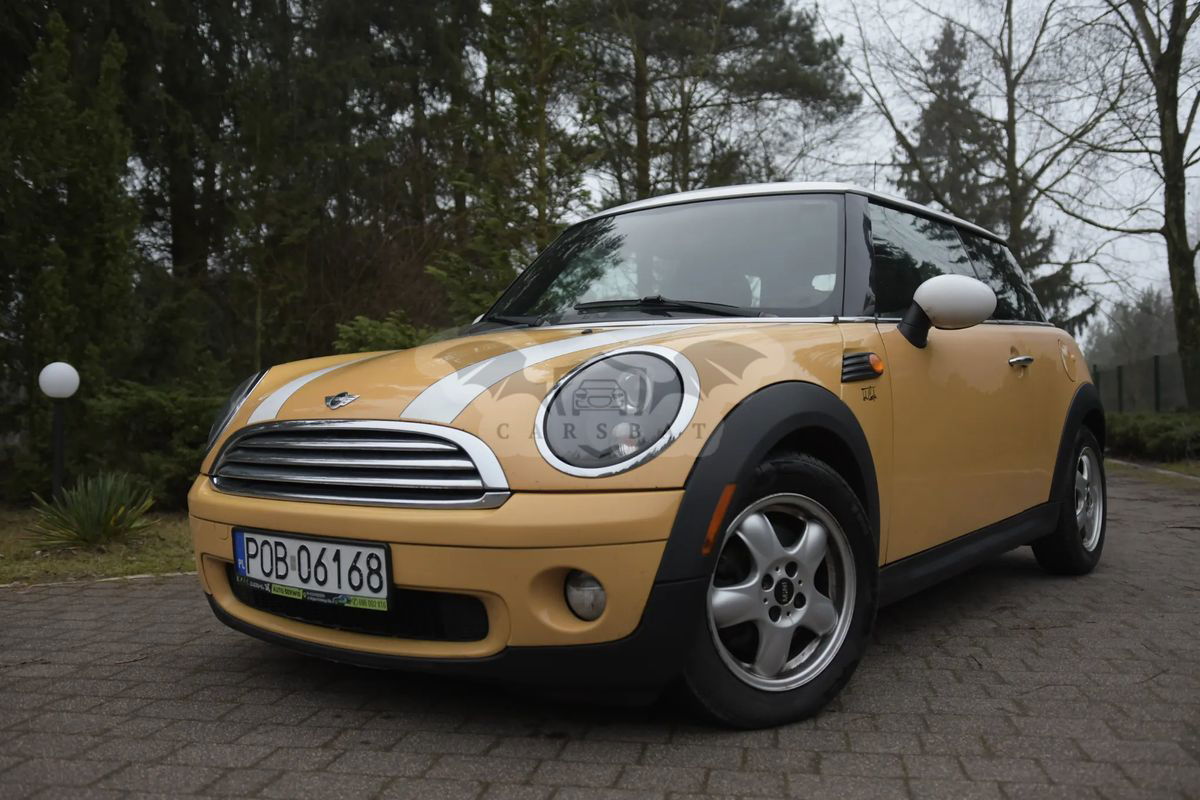 Mini Cooper Standard 2009