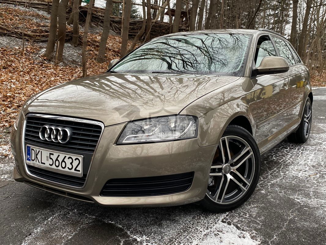 Audi A3 8P 2.0 TDI Sportback DPF S line Sportpaket 2009