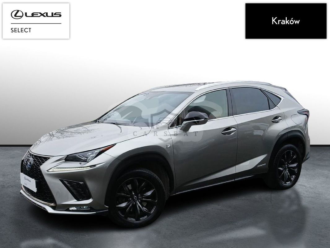 Lexus NX I 2020