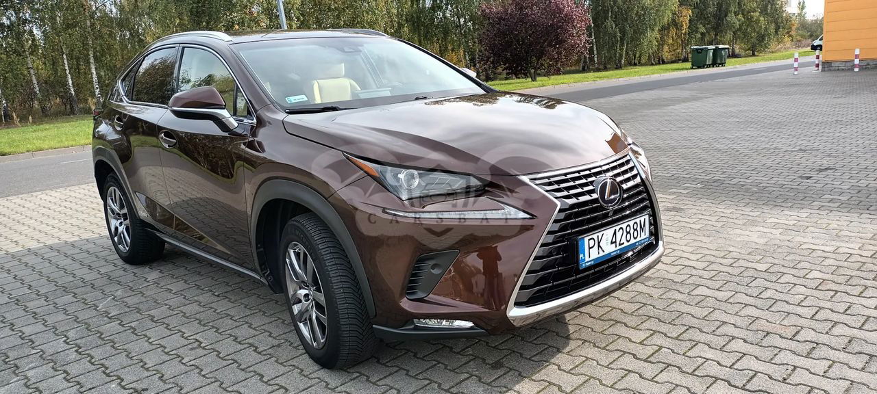 Lexus NX I 300h Comfort AWD 2017