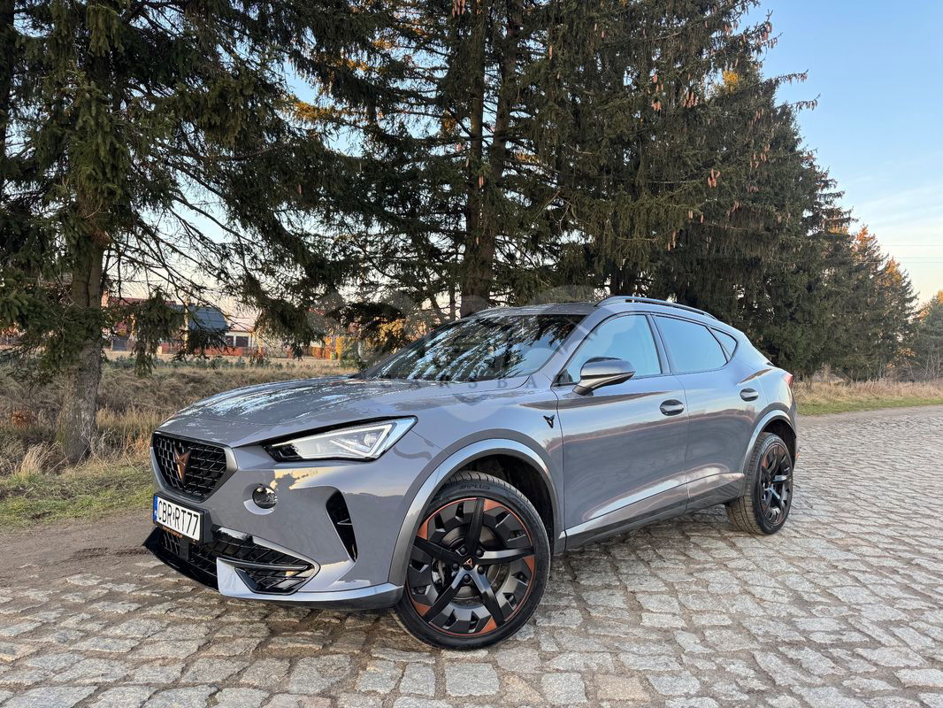 Cupra Formentor 2.0 TSI 4Drive DSG 2023