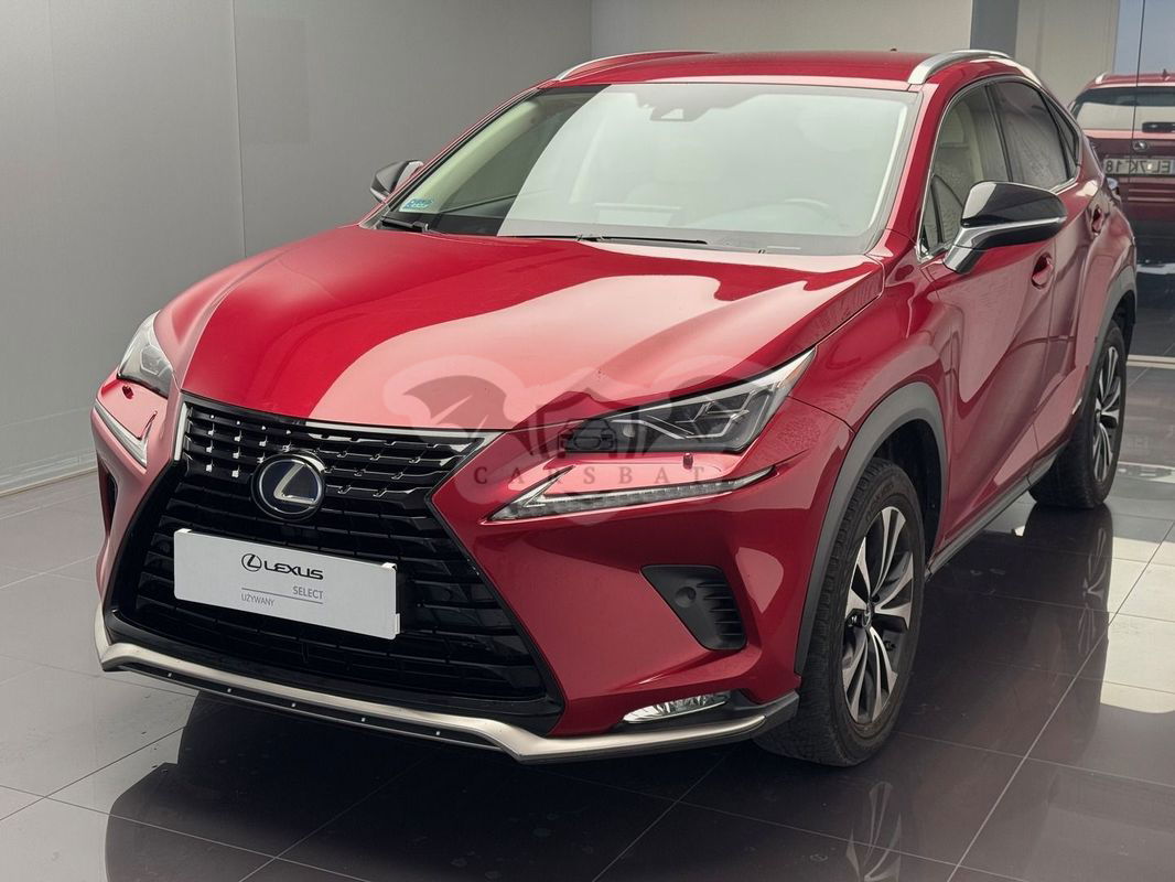 Lexus NX I 2020