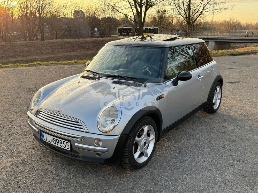 Mini Cooper pepper 2002