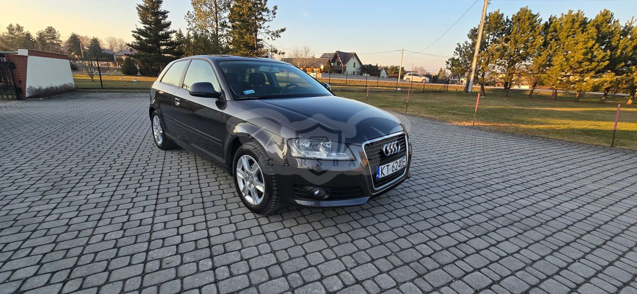 Audi A3 8P 2009