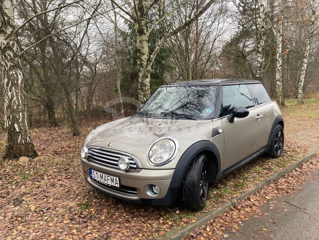 Mini Cooper Standard 2009